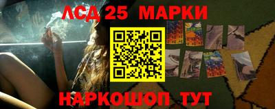 гидропоника Краснокаменск