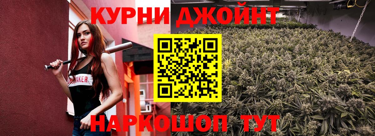 МАРИХУАНА сатива Кемерово